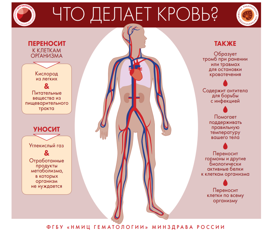 Признаки и симптомы неходжкинской лимфомы