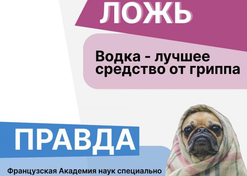 Собрали для вас самые распространенные ошибочные утверждения об алкоголе