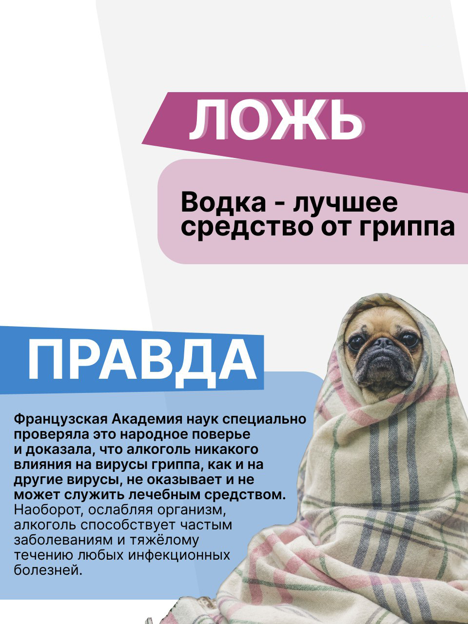 Собрали для вас самые распространенные ошибочные утверждения об алкоголе