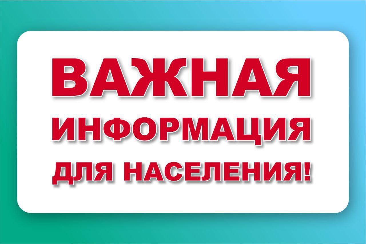 Общие правила безопасности при посадке деревьев