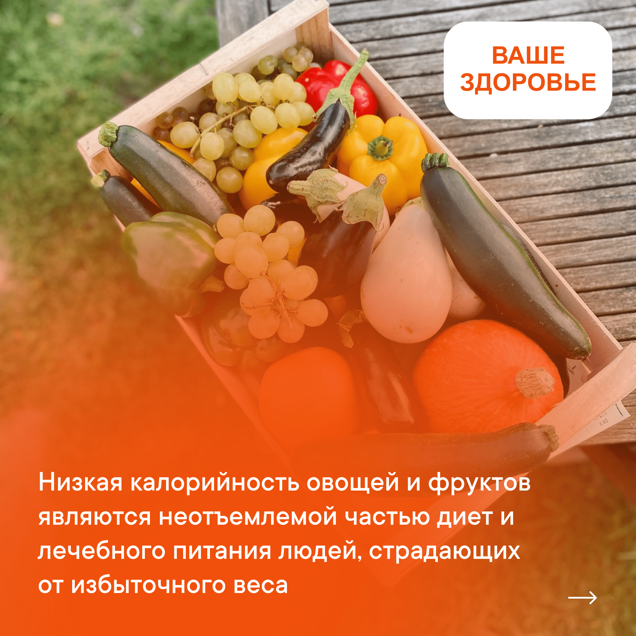 Ярко и полезно!