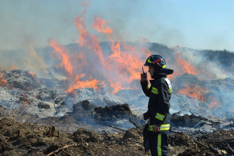 ТРЕБОВАНИЯ ПОЖАРНОЙ БЕЗОПАСНОСТИ при использования открытого огня и разведении костров  на землях сельскохозяйственного назначения, землях запаса  и землях населенных пунктов