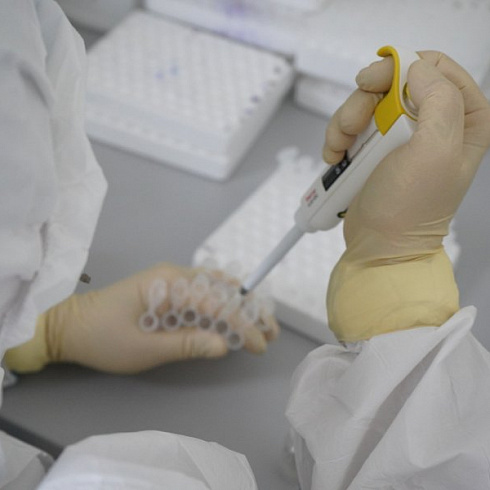 Проект ОНФ «Регион заботы» передал в Севастополь 30 тысяч высокоточных тестов на COVID-19