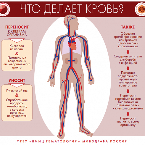 Признаки и симптомы неходжкинской лимфомы