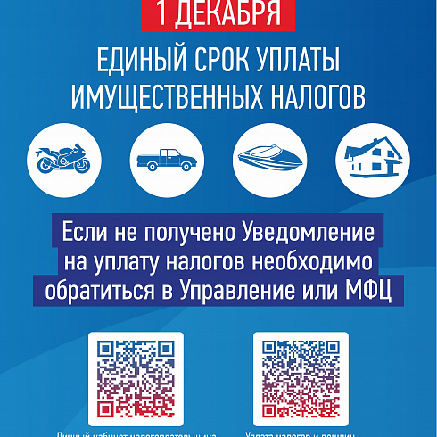 О едином сроке уплаты имущественного налога
