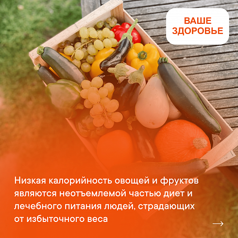 Ярко и полезно!